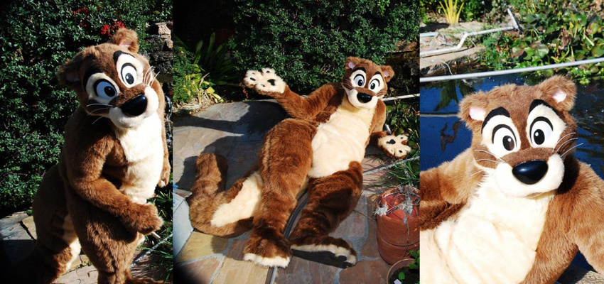 brown brown_fur chubby fur fursuit looking_at_viewer male mammal mustelid otter outside overweight paws real sitting unknown_artist whiskers