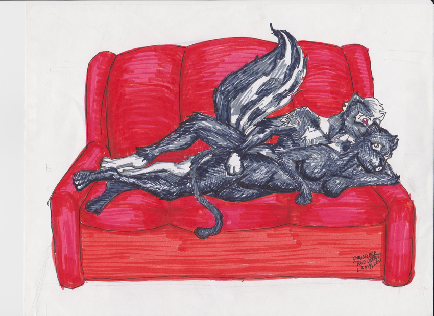 absurd_res cuddle feline hi_res panther skunk sofa