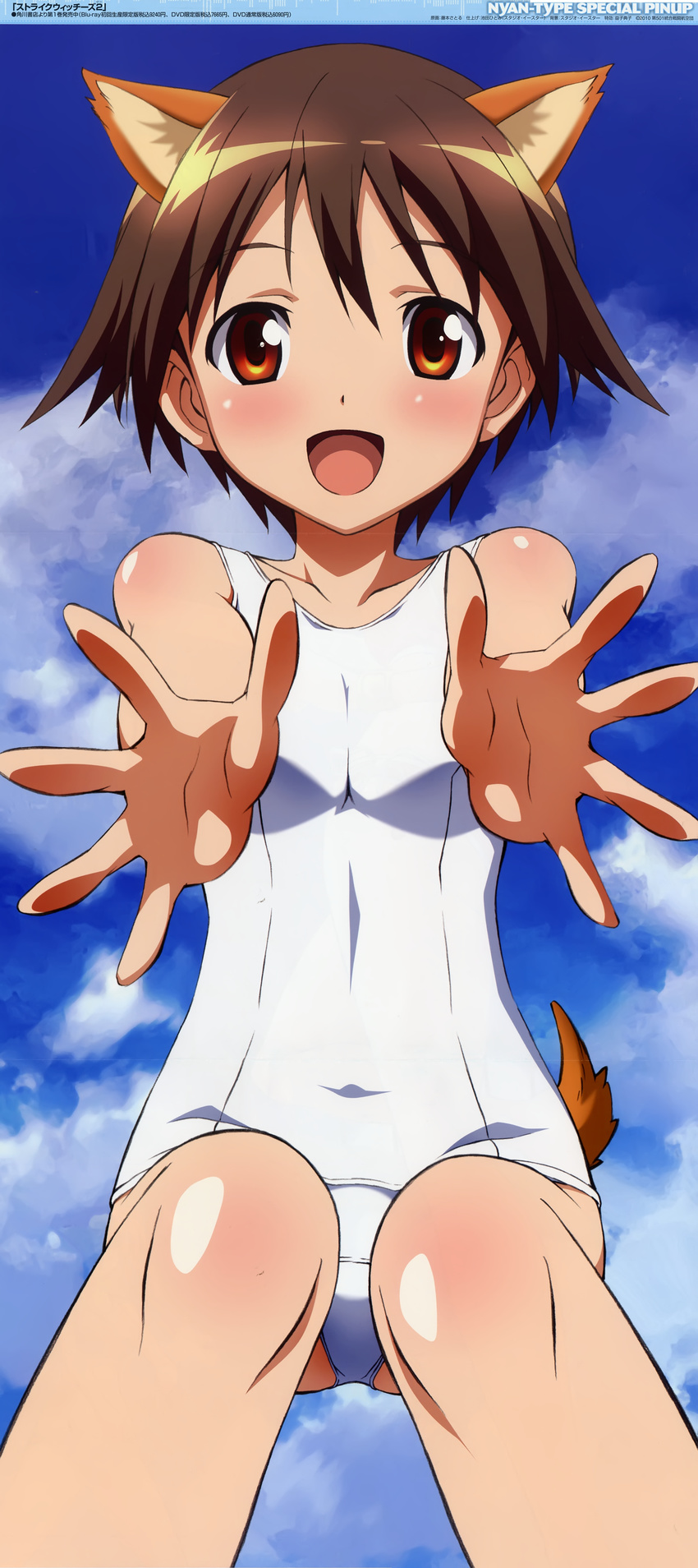:d absurdres animal_ears bangs blue_sky body_blush brown_hair cloud cloudy_sky covered_navel day dog_ears dog_tail flat_chest foreshortening fujimoto_satoru hands happy highres long_image looking_at_viewer miyafuji_yoshika nyantype official_art one-piece_swimsuit open_mouth outdoors outstretched_arms reaching red_eyes school_swimsuit short_hair sky smile solo squatting stick_poster strike_witches swimsuit tail tall_image white_school_swimsuit white_swimsuit world_witches_series