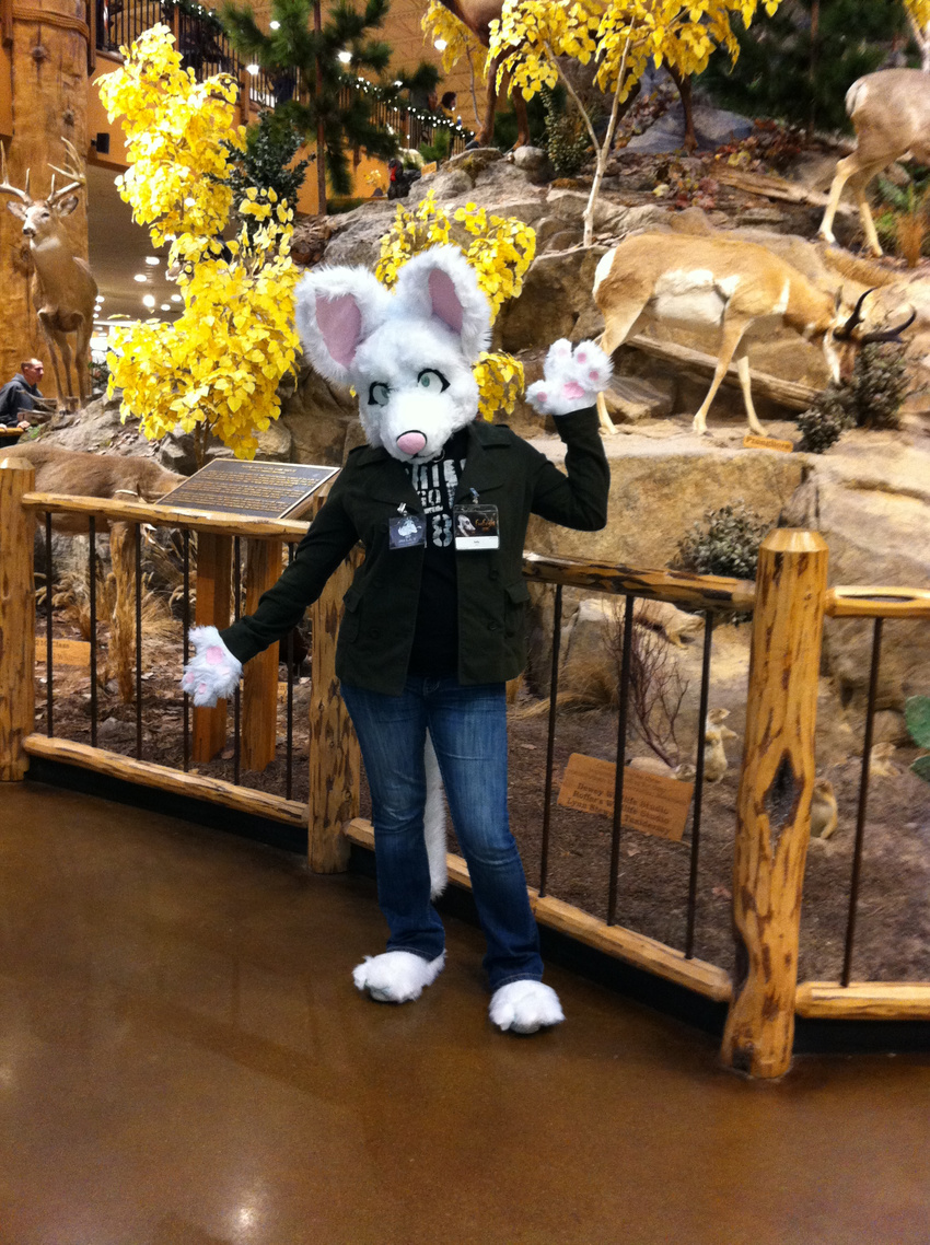 anubis cabelas deity display female fence furfright_2010 fursuit fursuit_in_public hi_res real sully tree trees unknown_artist white white_clothing wood