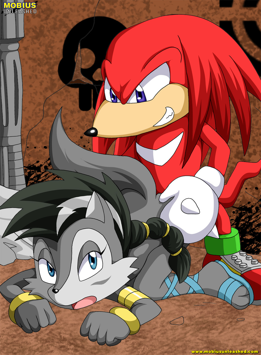 canine cave couple echidna female from_behind gloves knuckles_the_echidna lupe male mobian mobius_unleashed sega sex sonic_(series) straight wolf