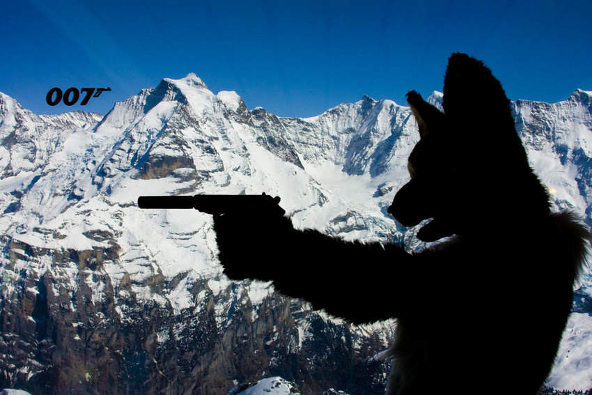 canine fox fursuit gun james_bond mammal mountain ranged_weapon real scribblefox shadow snow weapon