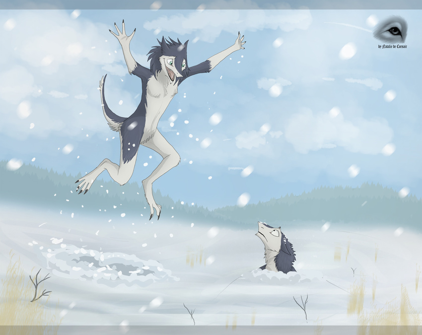 blue_fur claws cloud detailed_background frown fur green_eyes happy jumping male natalie_de_corsair nude open_mouth raised_arm sergal sky smile snow teeth tongue tree twigs white_fur wood