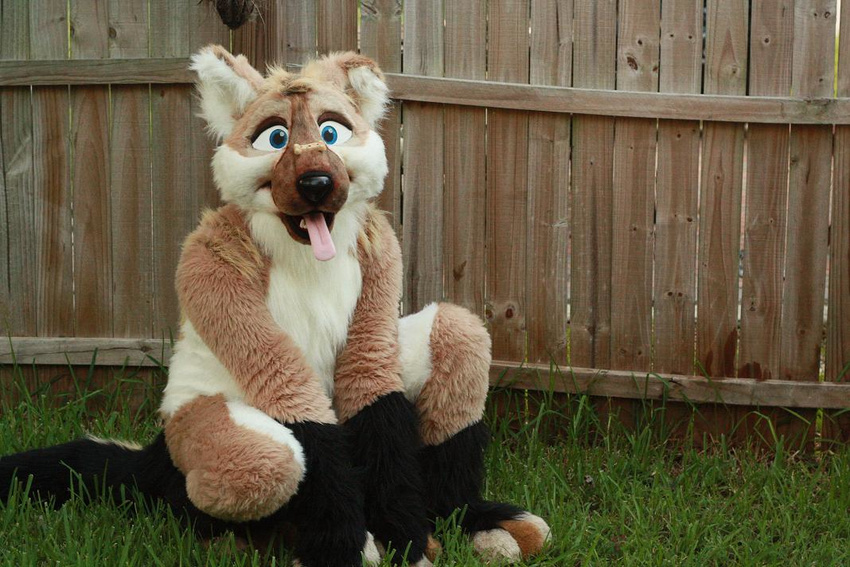 blue_eyes bone canine dog fence fursuit looking_at_viewer male mammal photo real solo tongue unknown_artist