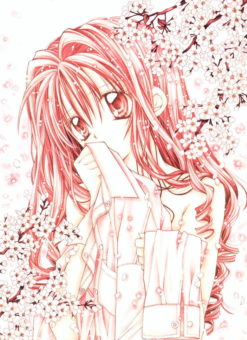 alternate_hair_color cherry_blossoms clothes_grab clothes_in_front covering_mouth full_moon_wo_sagashite highres holding kouyama_mitsuki long_hair nude official_art petals pink pink_eyes pink_hair shirt solo tanemura_arina traditional_media white_shirt