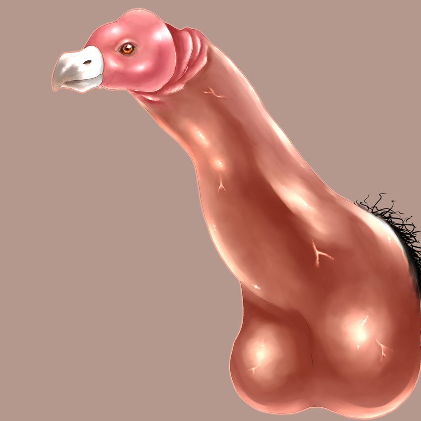 avian bird erection hi_res nightmare_fuel penis penis_creature solo what what_has_science_done who_is_your_god_now
