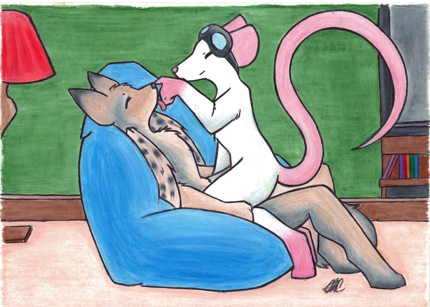 canine couple coyote crossbreed cute duo eyewear gay goggles hi_res hybrid licking male mammal meeko_pilotto muse musewolfman noseboop nude rat rodent sitting smile teasing tongue wings wrincewind