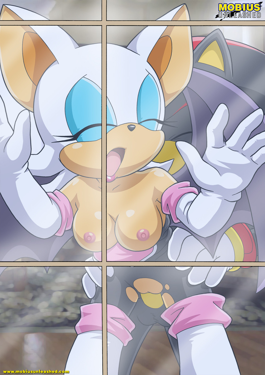 female from_behind male mobius_unleashed rouge_the_bat shadow_the_hedgehog sonic_(series) straight window