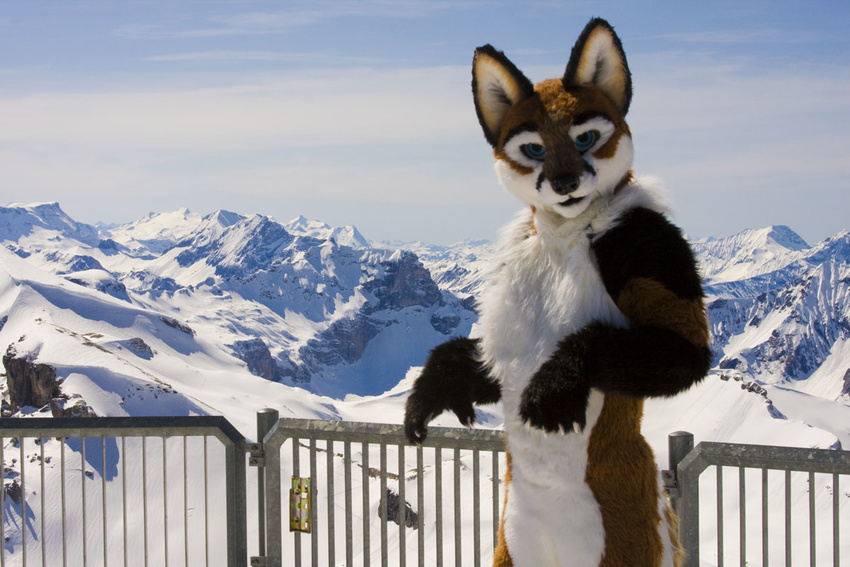 fox furryfoxfur fursuit male mammal mountain real scenic scribblefox snow solo switzerland