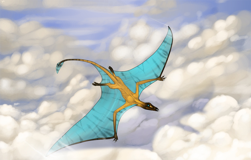 cloud clouds dinosaur feral flying non-anthro scalie solo tojo_the_thief wings