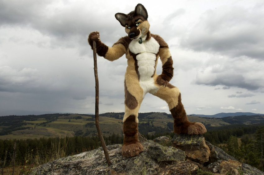 fursuit green_eyes looking_at_viewer male mammal mountain nature outside photo real roan scenic scribblefox solo stick wolf