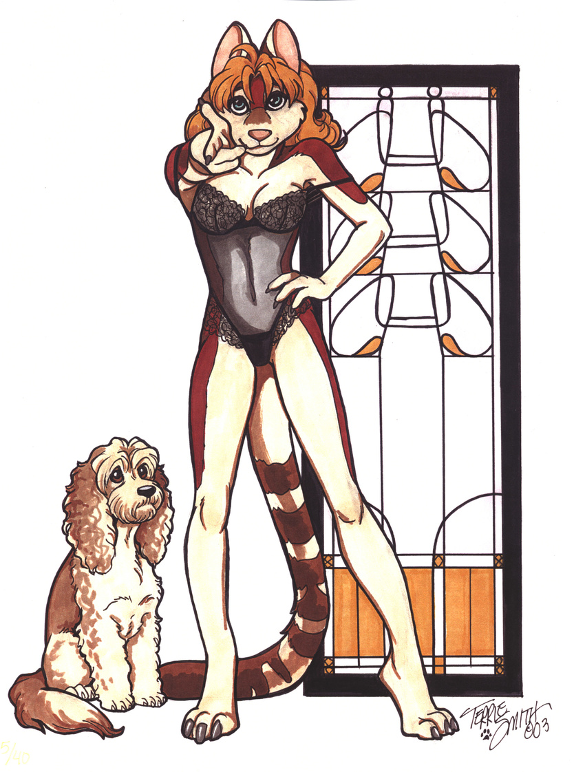 absurd_res breasts canine dog female furries_with_pets hi_res lingerie pet pointing terrie_smith thong thylacine translucent
