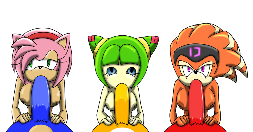 amy_rose cosmo_the_seedrian knuckles_the_echidna shade_the_echidna sonic_team sonic_the_hedgehog tails thegeckodemon