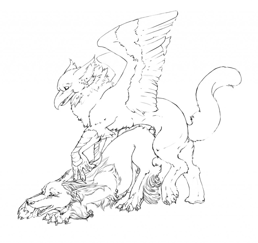 avian canine couple dog feral gryphon quicksaberflash runa sex wings wolf