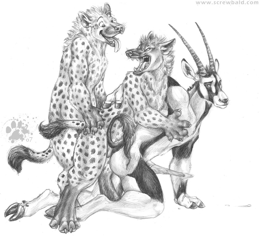 2007 africa anal antelope balls blotch digitigrade gay hooves hyena male oryx penis snarl tongue unguligrade
