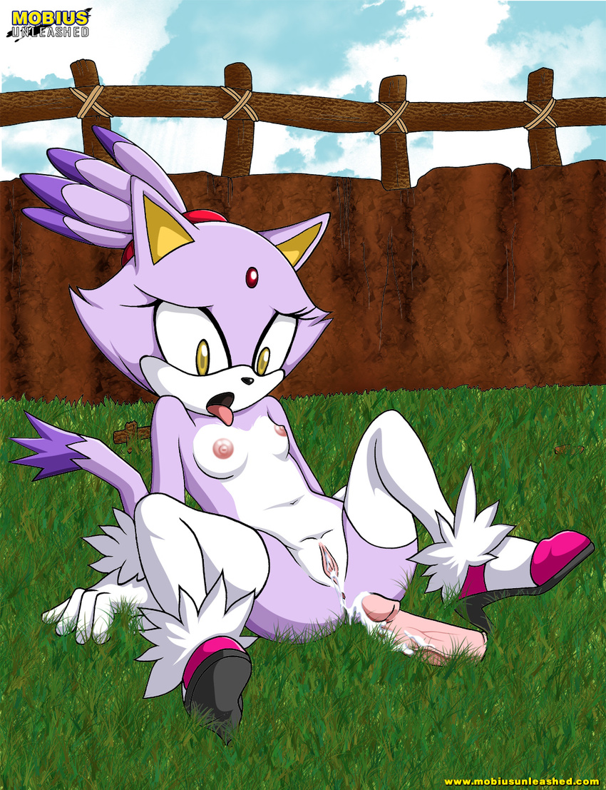 blaze_the_cat breasts cat dildo feline female mobius_unleashed nude orgasm plump_labia pussy pussy_juice sex_toy solo sonic_(series) spreading
