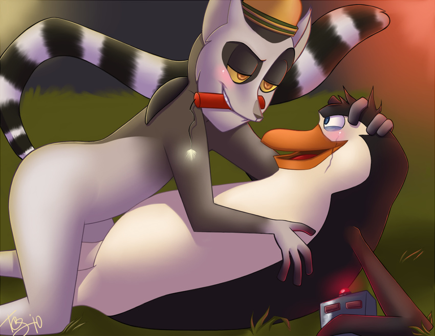 avian bent_over blue_eyes blush cuddle cuddling cute duo eye_contact fireworks gay grass half-closed_eyes hug imminent_death king_julien lemur looking_at_each_other love lying madagascar male mammal open_mouth penguin primate rico ringtail tsuyagami yellow_eyes