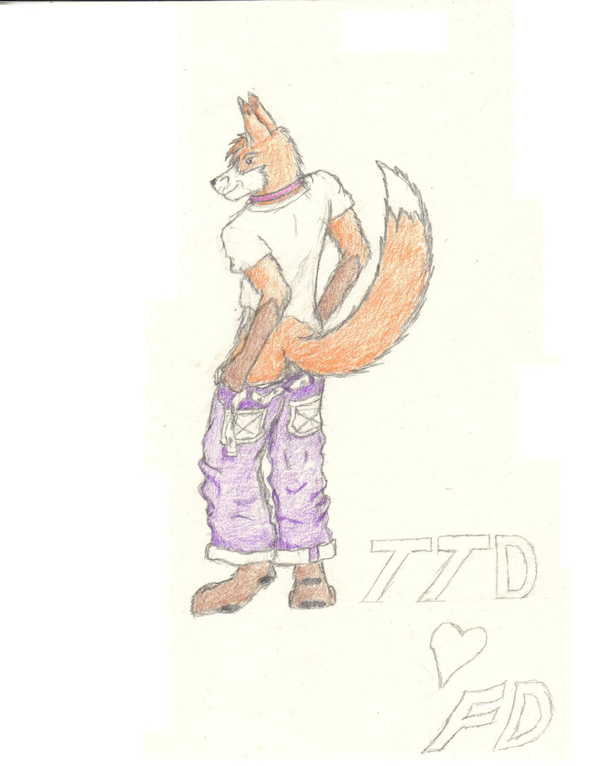 blue_eyes blush canine fox kingthedragon male orange pink_collar purple_pants solo white_shirt