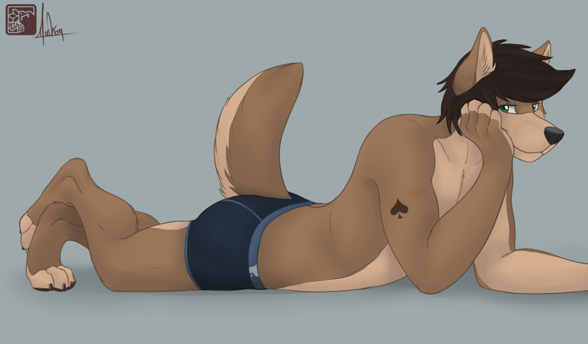&spades; boxers brown_hair canine dingo dog ear_tuft green_eyes hair hushhusky male muscles pose solo tail tan tattoo underwear