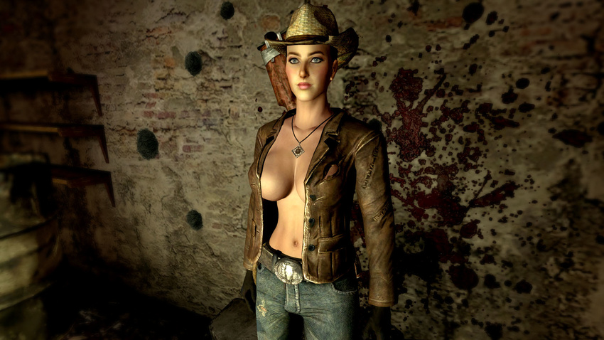 fallout fallout_new_vegas rose_of_sharon_cassidy tagme