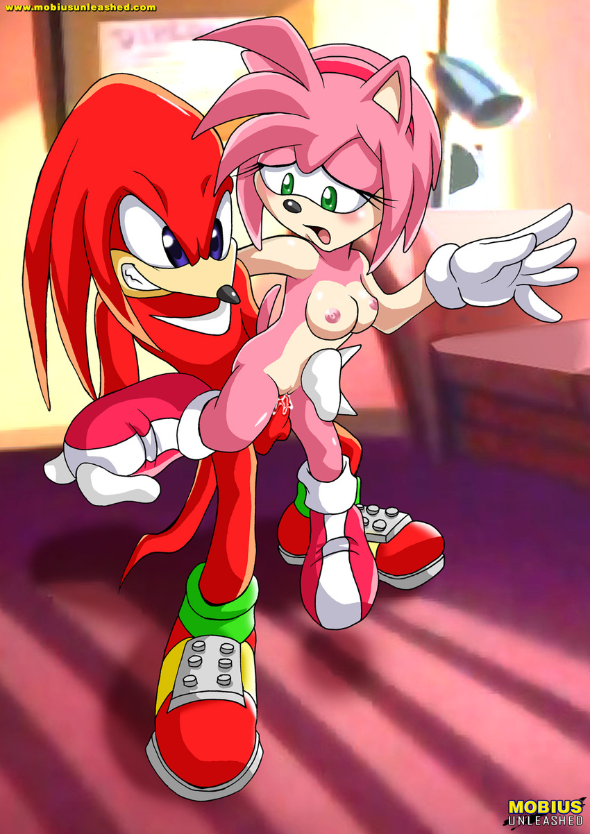 amy_rose bbmbbf female hedgehog knuckles_the_echidna male mobius_unleashed penetration penis pussy sonic_(series) straight vaginal vaginal_penetration