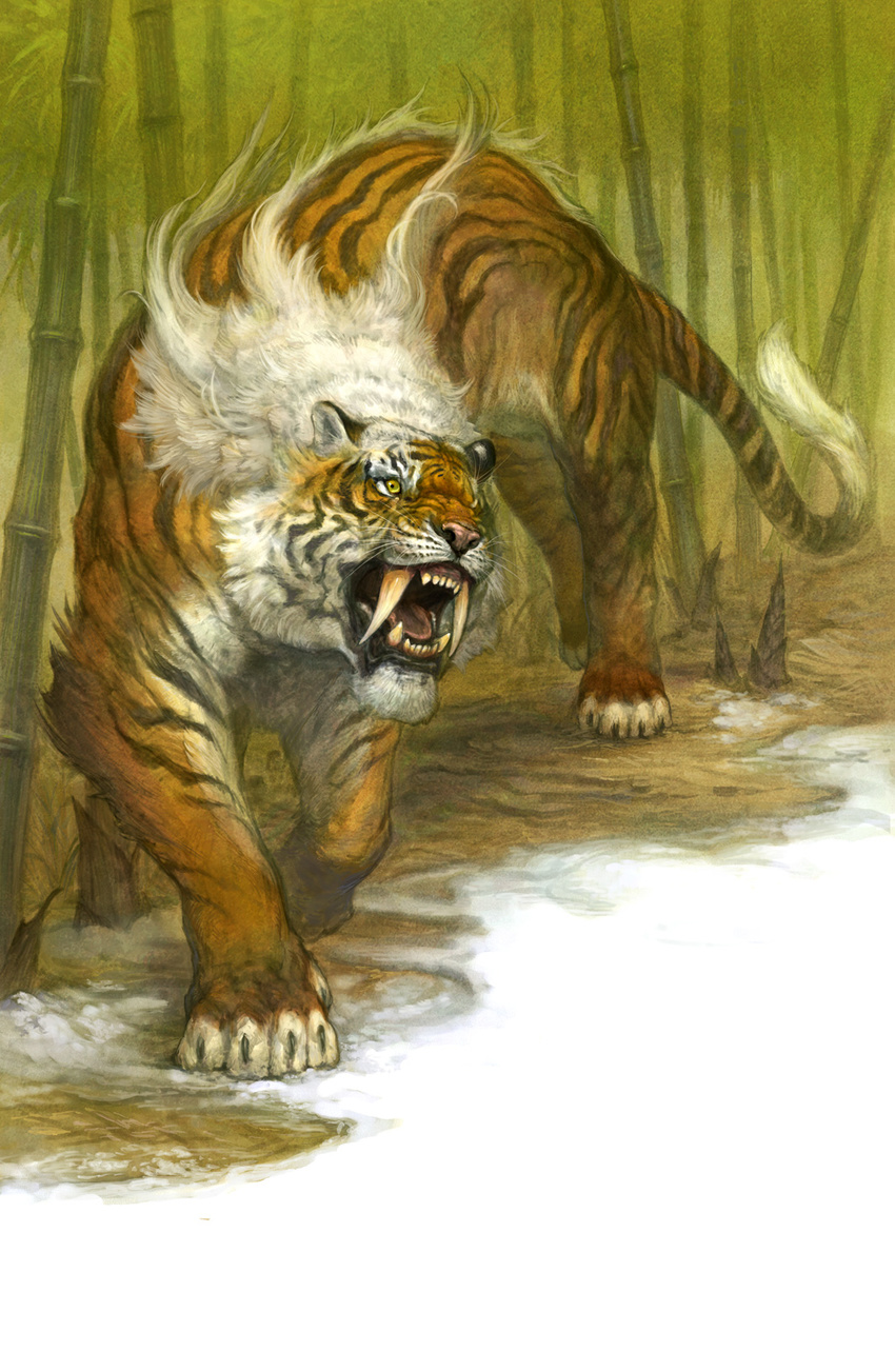 animal bamboo fangs feline feral g.river ham-on highres no_humans open_mouth paws sabertooth_tiger solo tiger walking whiskers