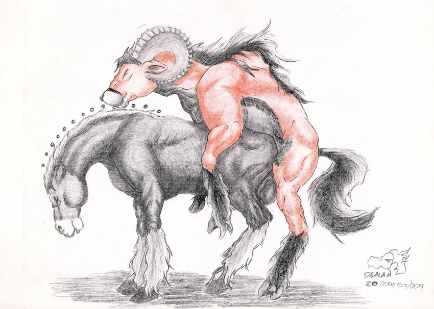dralam equine female hooves horns horse male mare sex stallion straight