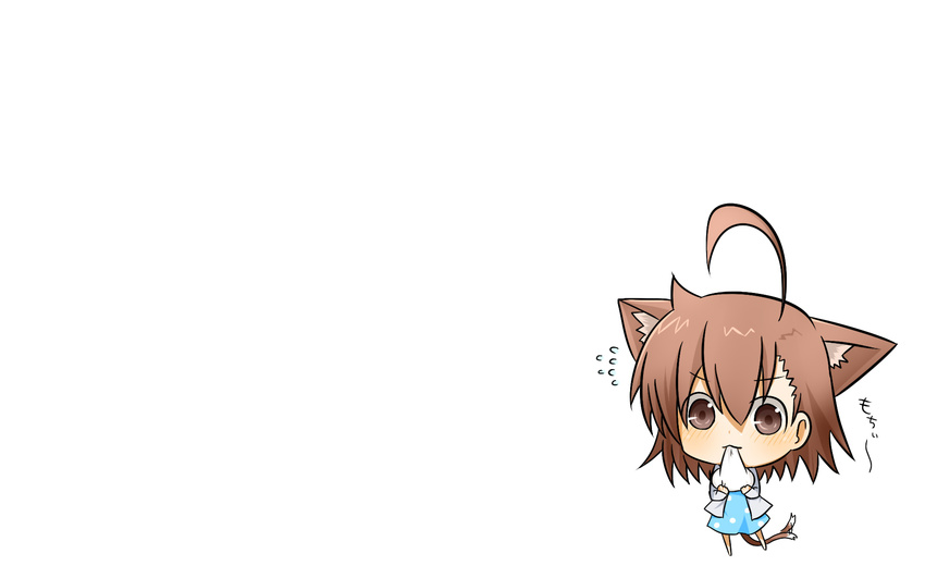 animal_ears blush brown_hair chibi last_order mochi rubii short_hair tail to_aru_majutsu_no_index white