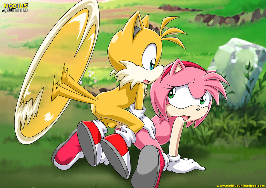 amy_rose canine doggy_position female fox hedgehog male miles_prower mobian mobius_unleashed outside penis sega sex sonic_(series) straight