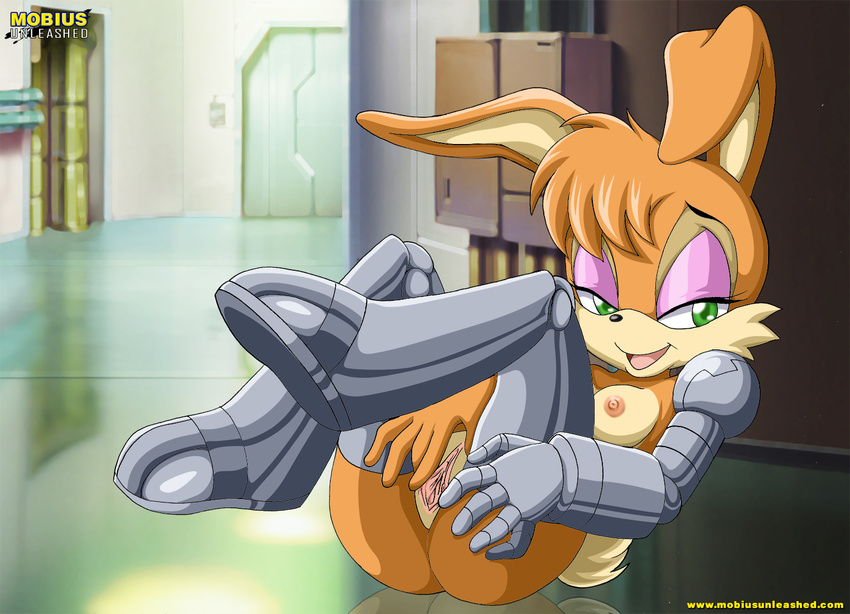 breasts bunnie_rabbot female lagomorph mobian mobius_unleashed pussy rabbit solo sonic_(series)