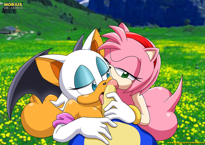 amy_rose breasts butt fellatio female handjob hedgehog male masturbation mobian mobius_unleashed oral oral_sex penis pov rouge_the_bat sex sonic_(series) sonic_the_hedgehog tail threesome wings