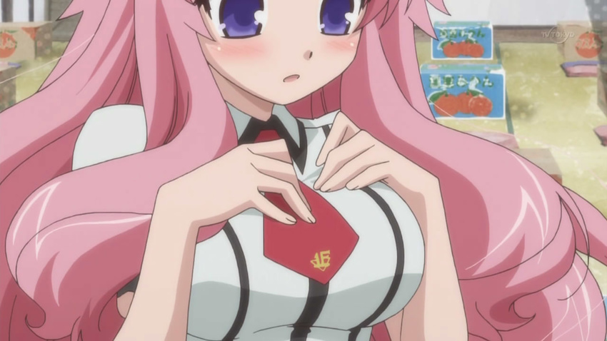 baka_to_test_to_shoukanjuu blush breasts busty cap himeji_mizuki long_hair pink_hair school_uniform solo