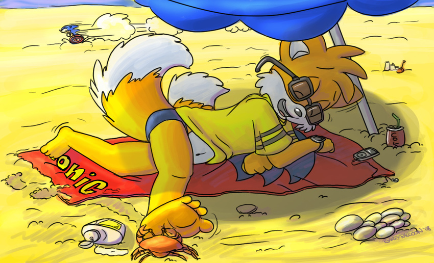 beach canine fox male miles_prower orange roarey_raccoon sand seaside solo sonic_(series)