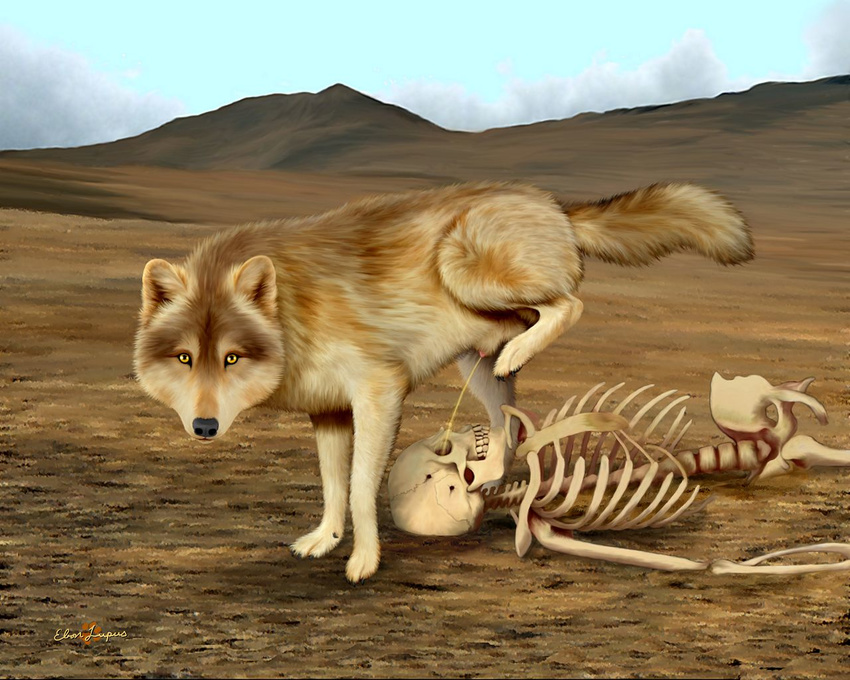 canine ebon_lupus feral looking_at_viewer obvious_symbolism peeing skeleton solo watersports what wolf