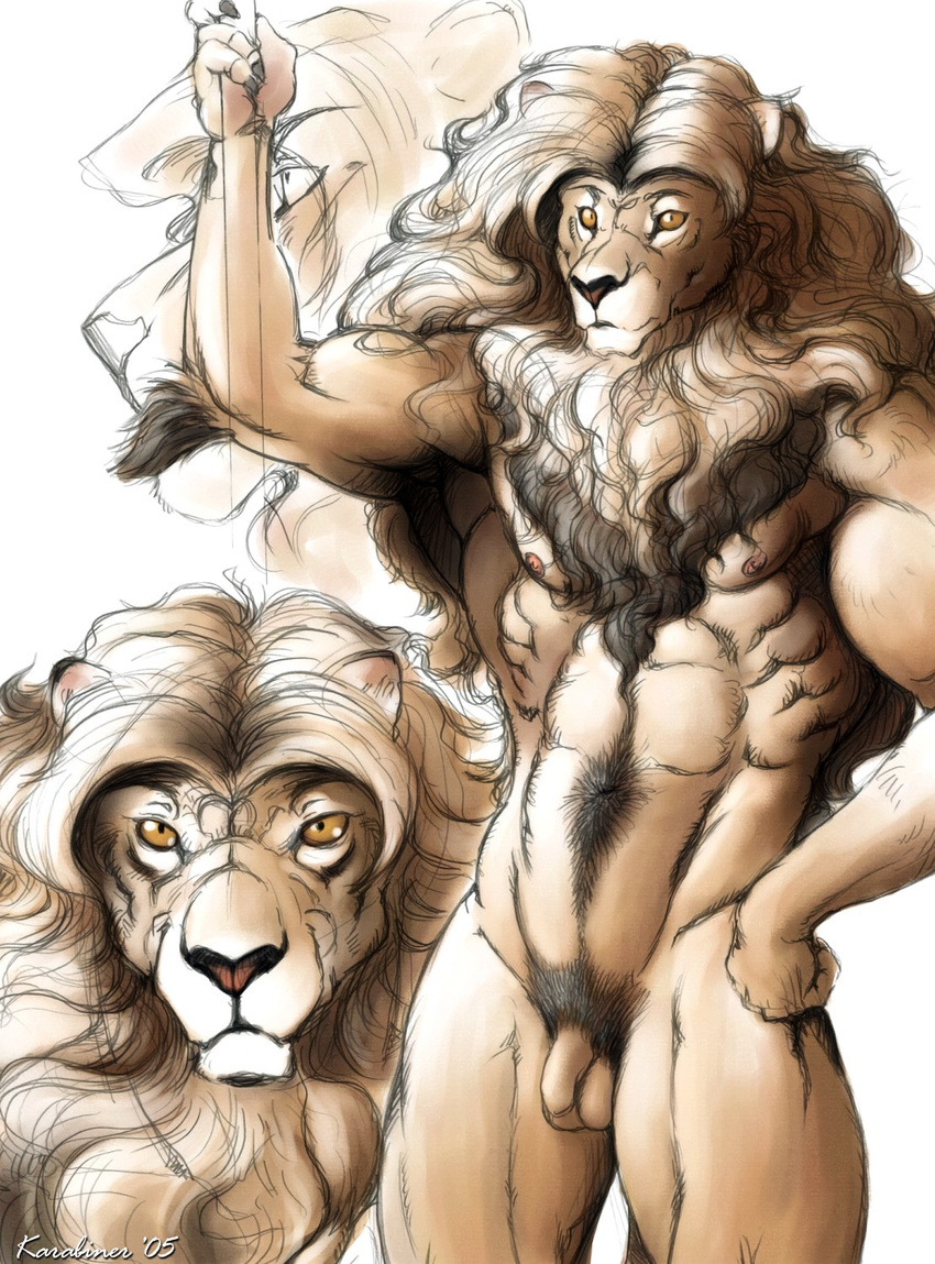 anthro body_hair feline flaccid happy_trail karabiner lion male mammal penis pubes pubic_hair solo