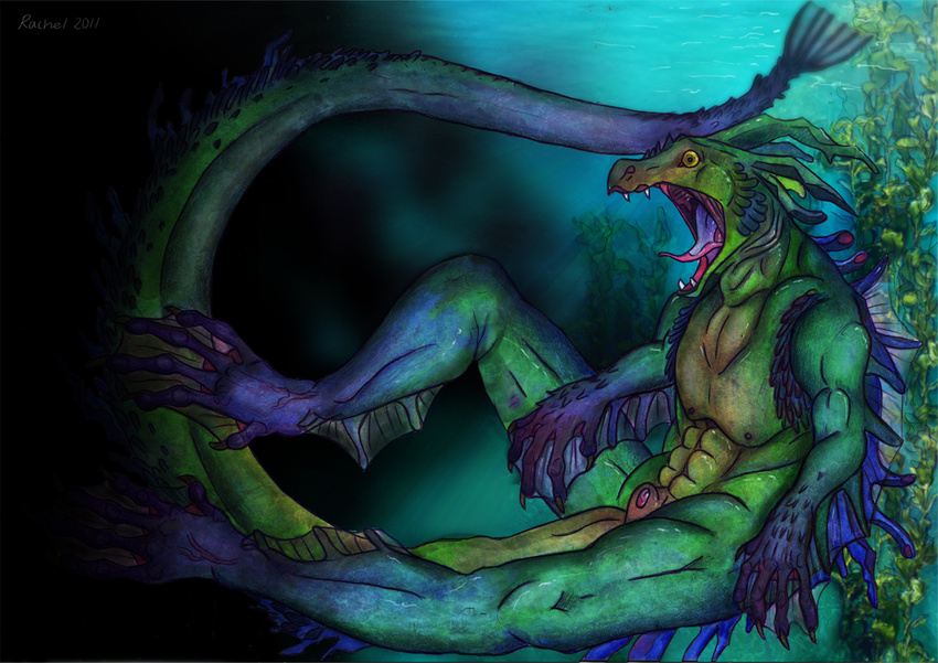 claws colorful colourful dragon horn horns male muscles nude penis penis_tip rachel_(artist) scalie sheath solo tail teeth tongue underwater water webbing yellow_eyes