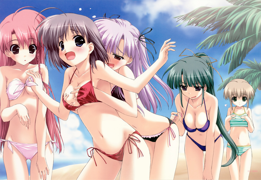 5girls beach bikini blonde blue_eyes blush boy_meets_girl breast_envy breast_grab brown_eyes cleavage frontwing gray_hair green_eyes green_hair kasugano_haruna kumotani_chizuru magical_fan_book mizugi pettanko pink_hair purple_hair red_eyes shingyouji_mao shintaro souma_nanami tsubasa_miu