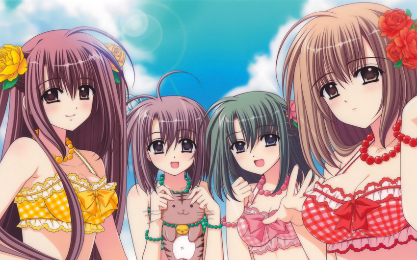 animal bikini blue_eyes brown_eyes brown_hair cat cleavage clouds flowers green_hair group hayashida_misaki nishimata_aoi ootori_naru oretachi_ni_tsubasa_wa_nai pink_eyes pink_hair sky swimsuit tamaizumi_hiyoko watarai_asuka