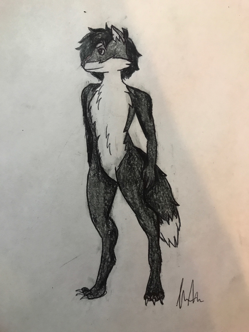 2019 ambiguous_gender anthro canid canine fox fur hair hi_res mammal nude simple_background smile solo zack