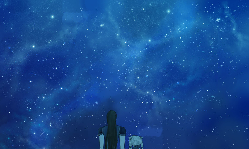 1girl artist_request black_hair code_geass from_behind height_difference li_xingke long_hair night night_sky outdoors silver_hair sky star_(sky) stargazing starry_sky tianzi twintails upper_body very_long_hair wallpaper