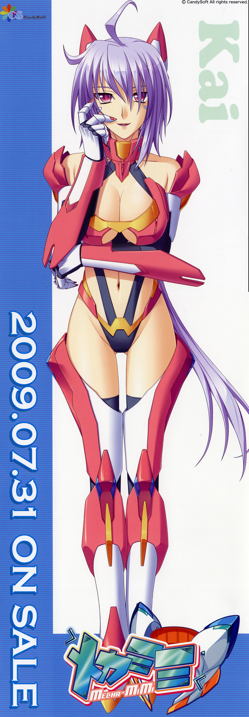 cleavage mahiro_takeumi mecha-mimi stick_poster thighhighs