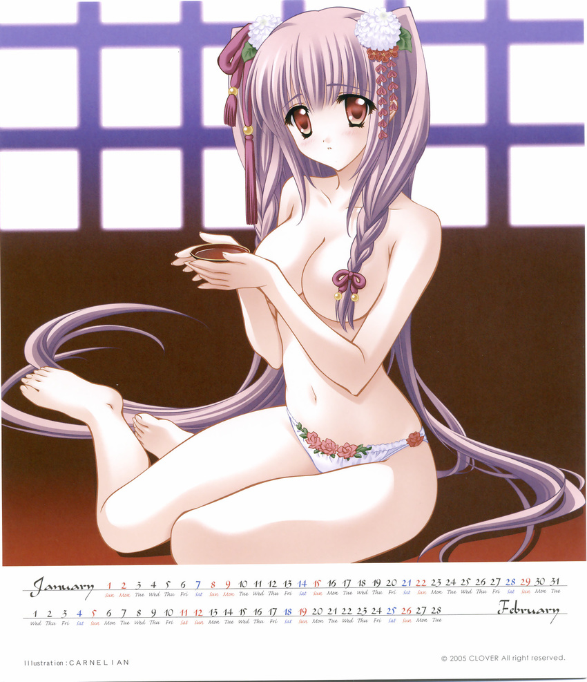 2006 airi_(quilt) calendar carnelian february find_similar january pantsu quilt topless