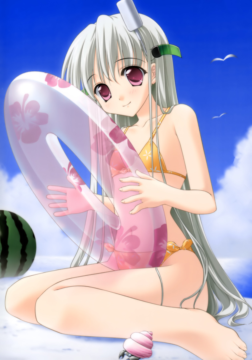 absurdres bangs barefoot beach bikini bird blue_sky blush cloud day feet flat_chest floral_print flower food from_side front-tie_bikini front-tie_top fruit full_body head_tilt hermit_crab hibiscus highres holding innertube kousaka_himeko light_smile like_life long_hair looking_at_viewer matsushita_makako ocean official_art on_ground orange_bikini outdoors pink_eyes print_bikini seagull side-tie_bikini silver_hair sitting sky smile swimsuit transparent very_long_hair wariza water watermelon