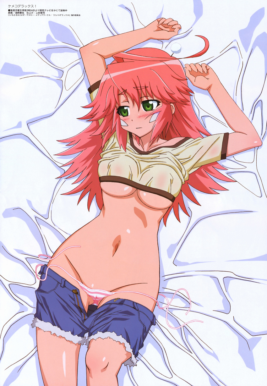 emuemu kemeko_deluxe no_bra pantsu shimapan shirt_lift shitapai undressing