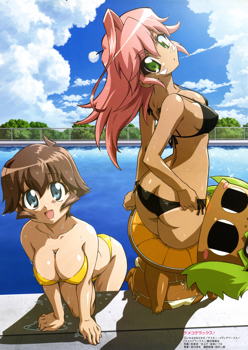 bikini cleavage crease dark_skin emuemu fixme kemeko kemeko_deluxe makihara_izumi mizugi sugimoto_isao tanlines tanned