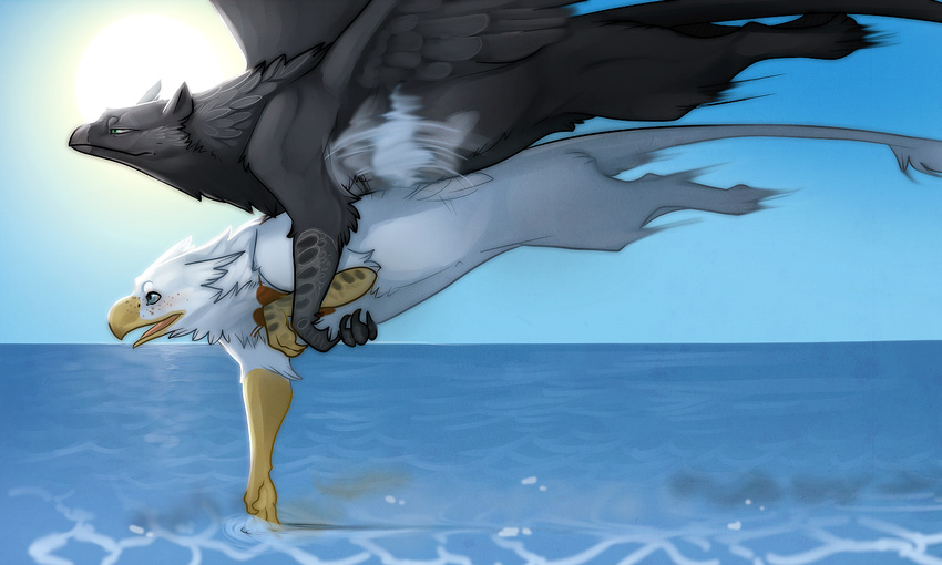 avian beak carrying duo female feral flying gryphon hoot hoot_(character) male ocean sea water wings