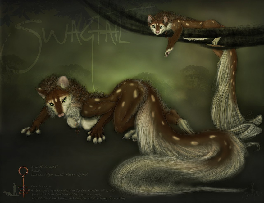 anthro english_text female feral fossa hybrid mammal marsupial mearu model_sheet non-anthro nude quoll quoosa scenery solo swagtail text tiger_quoll tree wood