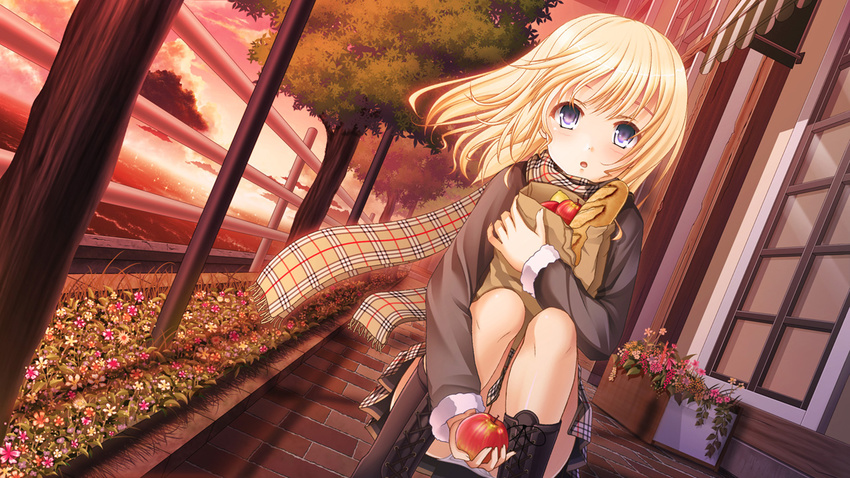 apple bag baguette bangs blonde_hair blue_eyes boots bread commentary_request cross-laced_footwear flower food fruit fuyu_urara holding holding_food holding_fruit lace-up_boots long_sleeves looking_at_viewer open_mouth original outdoors panties pantyshot pantyshot_(squatting) paper_bag plaid plaid_scarf plaid_skirt scarf shopping_bag skirt solo squatting underwear