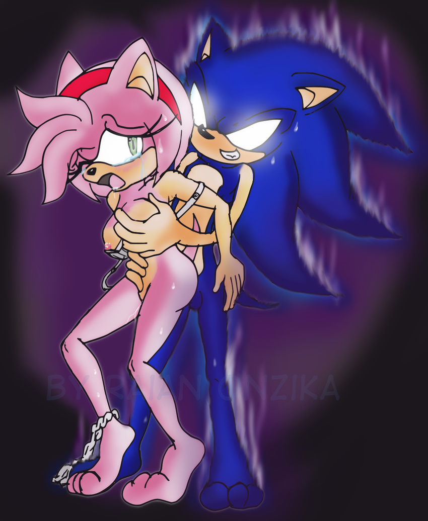 amy_rose raianonzika sonic_team sonic_the_hedgehog tagme