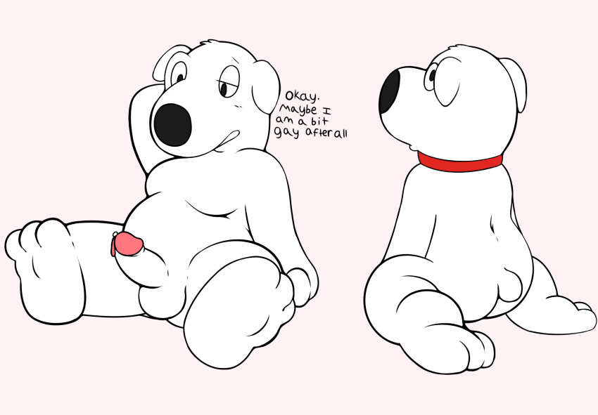 absurd_res balls blush brian_griffin butt butt_pose canid canine clothed clothing collar dialogue erection family_guy hi_res humanoid_penis looking_at_viewer male mammal moobs nude penis precum sitting slightly_chubby solo squint sushibroadcast